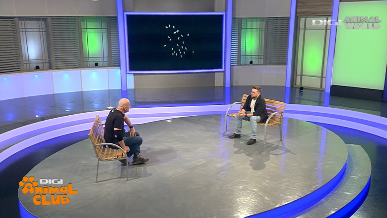 Digi Animal Club fotograf DANIEL MÎRLEA Ziua Apei 9