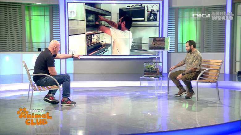 Terrarii Alex Fota (6)