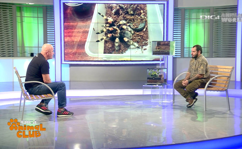 Terrarii Alex Fota (14)