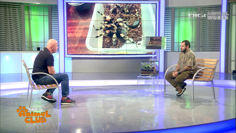 Terrarii Alex Fota (14)