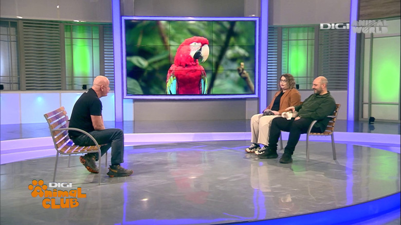 Medicina animalelor exotice (4)