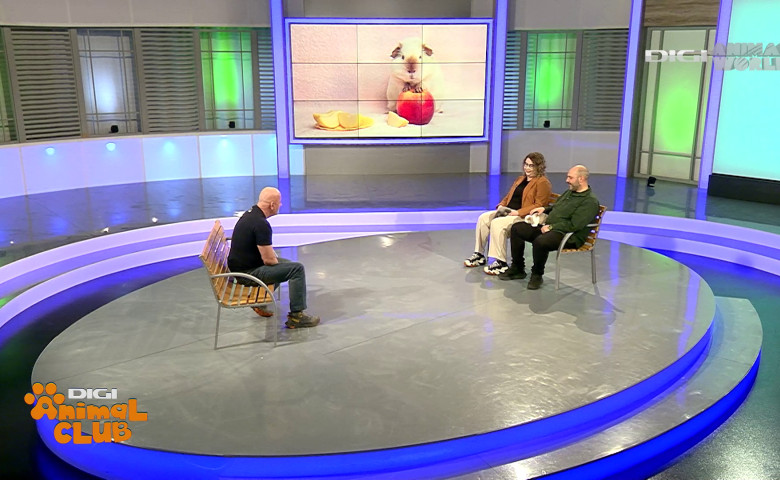 Medicina animalelor exotice (6)