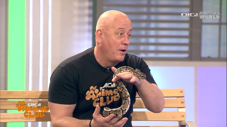 Medicina animalelor exotice (9)