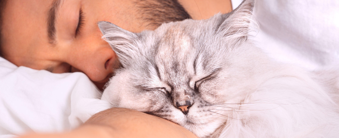 Un iubitor de câini și-a schimbat complet părerea despre pisici atunci când a adoptat una/ Profimedia