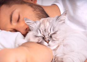 Un iubitor de câini și-a schimbat complet părerea despre pisici atunci când a adoptat una/ Profimedia