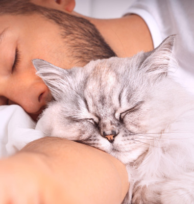 Un iubitor de câini și-a schimbat complet părerea despre pisici atunci când a adoptat una/ Profimedia