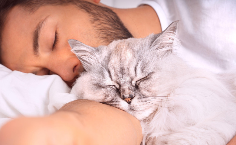 Un iubitor de c&acirc;ini și-a schimbat complet p&abreve;rerea despre pisici atunci c&acirc;nd a adoptat una&sol; Profimedia