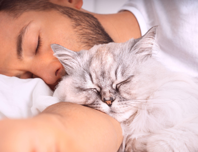 Un iubitor de câini și-a schimbat complet părerea despre pisici atunci când a adoptat una/ Profimedia