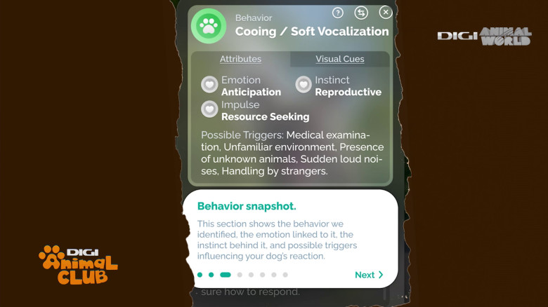Aplicația care traduce comportamentul câinelui Digi Animal Club(1)