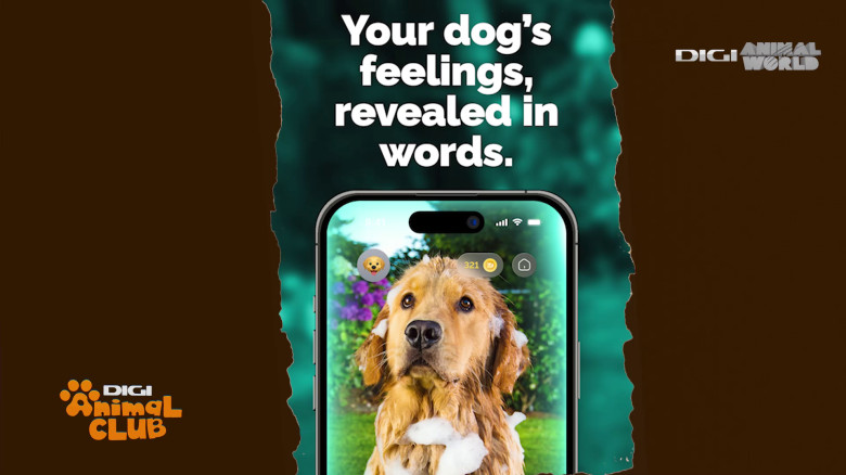 Aplicația care traduce comportamentul câinelui Digi Animal Club(18)