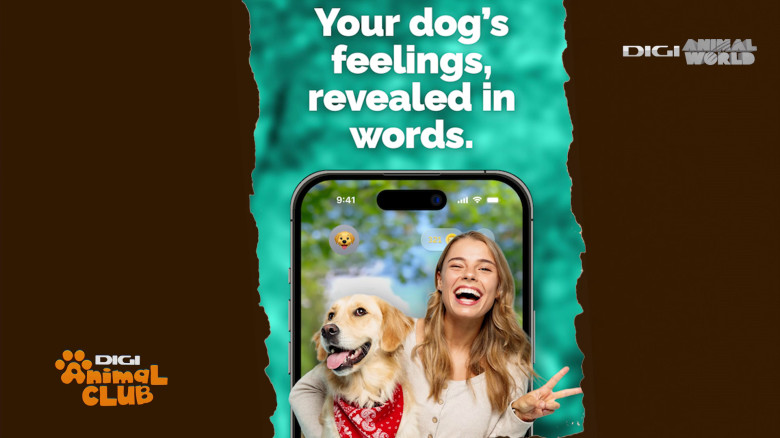 Aplicația care traduce comportamentul câinelui Digi Animal Club(19)