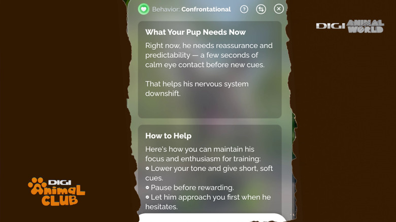 Aplicația care traduce comportamentul câinelui Digi Animal Club(3)