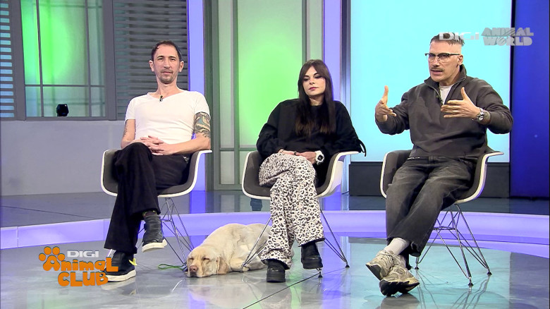 Aplicația care traduce comportamentul câinelui Digi Animal Club(4)