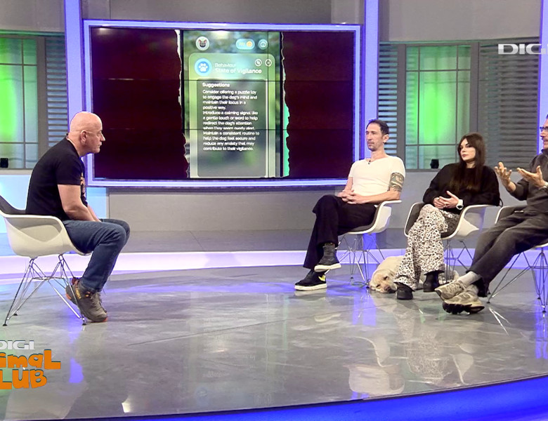 Aplicația care traduce comportamentul câinelui Digi Animal Club(8)