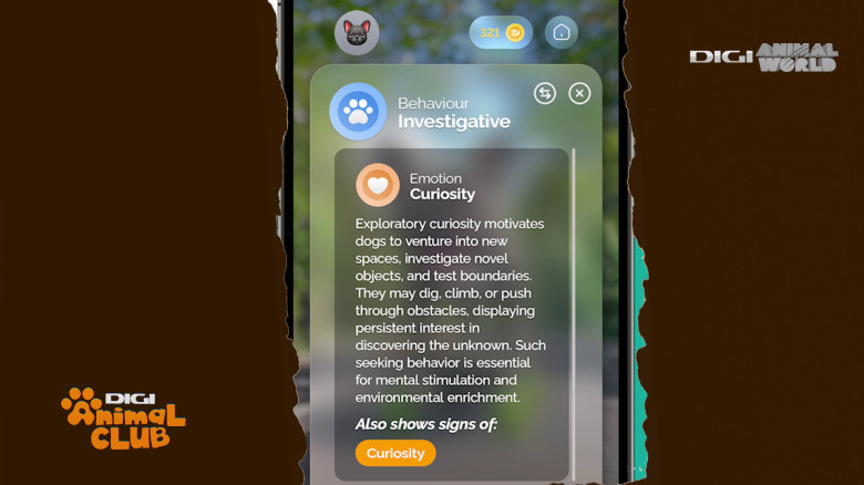 Aplicația care traduce comportamentul câinelui Digi Animal Club(20)