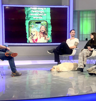 Aplicația care traduce comportamentul câinelui Digi Animal Club(11)