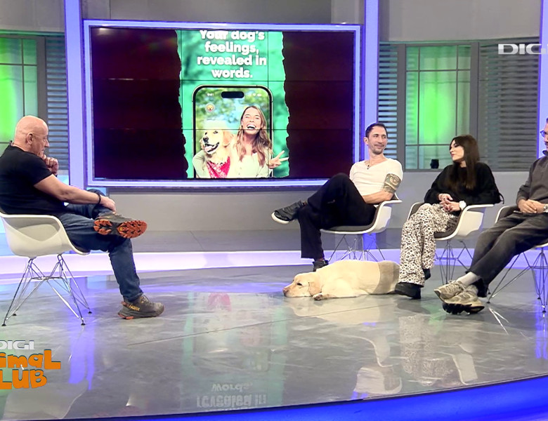 Aplicația care traduce comportamentul câinelui Digi Animal Club(11)