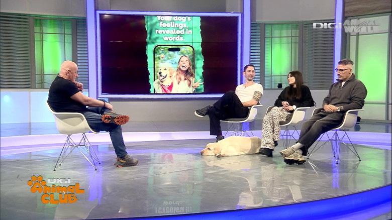 Aplicația care traduce comportamentul câinelui Digi Animal Club(11)