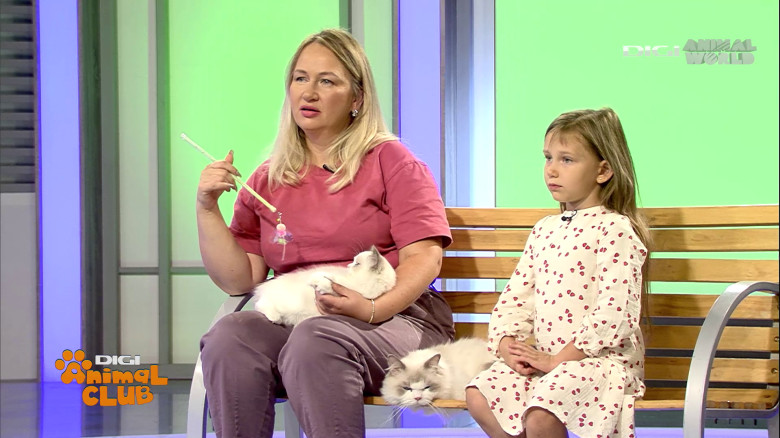 Digi Animal Club Ragdoll Irina Kovyazina (11)