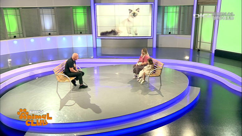 Digi Animal Club Ragdoll Irina Kovyazina (1)