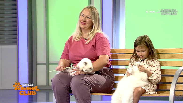 Digi Animal Club Ragdoll Irina Kovyazina (5)