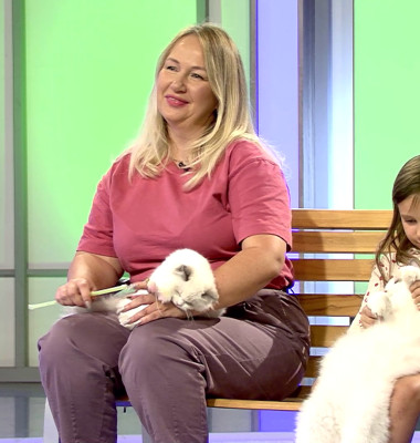 Digi Animal Club Ragdoll Irina Kovyazina (5)