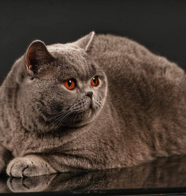 Kira Kiralina/ Foto: Facebook