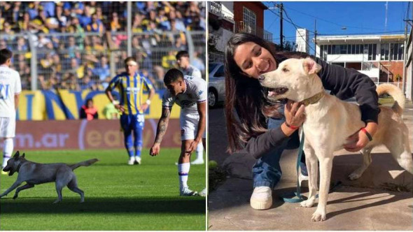 Un cățel pierdut a intrat pe teren la un meci al echipei lui Angel Di Maria. Stăpânii l-au găsit după ce a devenit viral