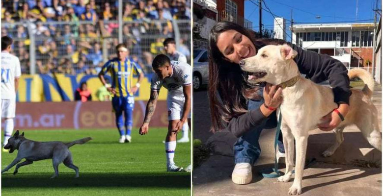 Un cățel pierdut a intrat pe teren la un meci al echipei lui Angel Di Maria/ Foto: X