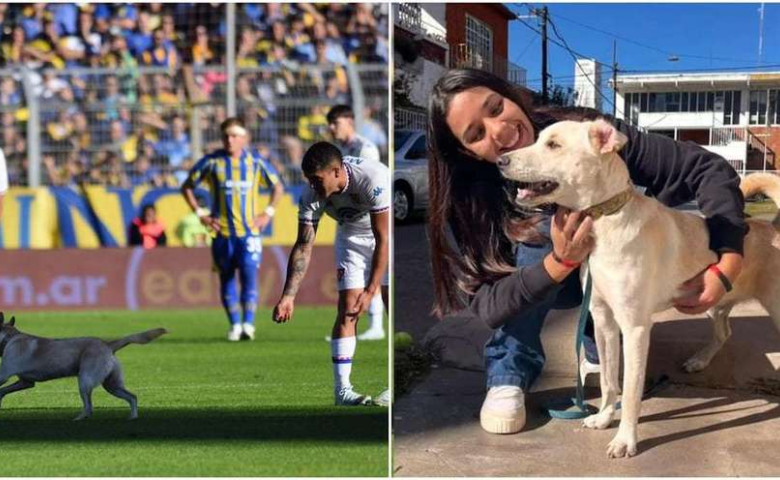 Un c&abreve;țel pierdut a intrat pe teren la un meci al echipei lui Angel Di Maria&sol; Foto&colon; X