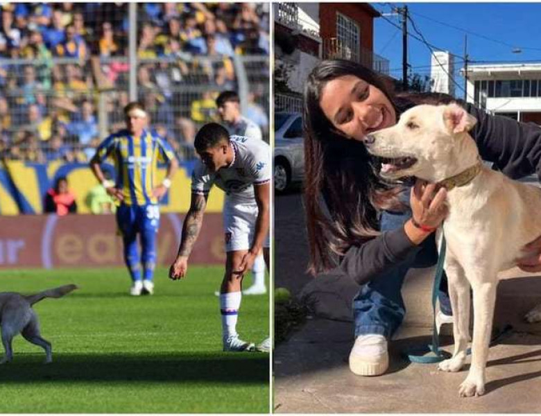 Un cățel pierdut a intrat pe teren la un meci al echipei lui Angel Di Maria/ Foto: X