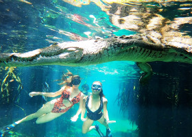 Momentul în care un crocodil uriaș se apropie de două modele în timpul unei ședințe foto/ Profimedia