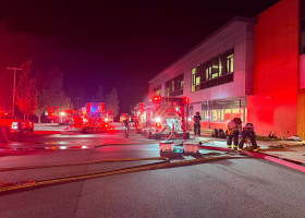 Incendiu provocat de un piton de 2,4 metri într-o școală din Virginia/ Foto: Facebook