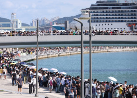 Citizens visit Busan shark