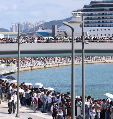 Citizens visit Busan shark