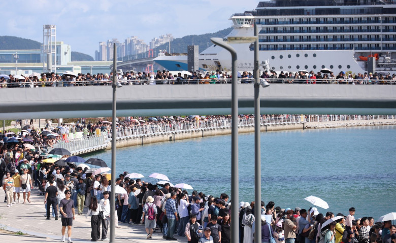 Citizens visit Busan shark