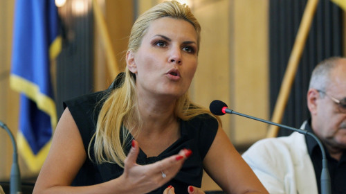 elena udrea