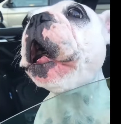 walter