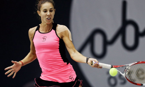 mihaela-buzarnescu