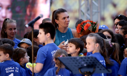 halep arena