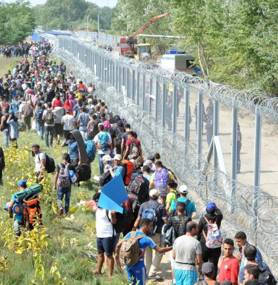 Migranți
