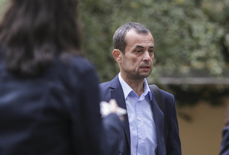 mircea negulescu
