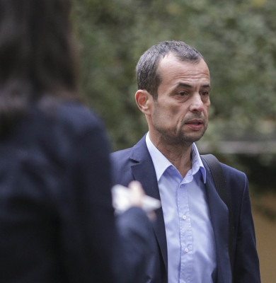 mircea negulescu