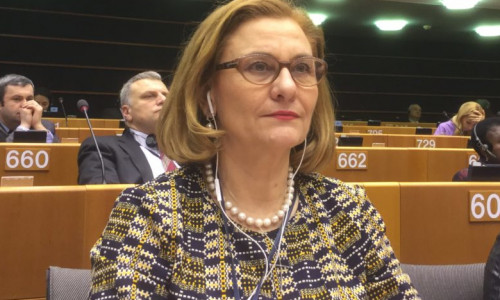 Maria Grapini, europarlamentar