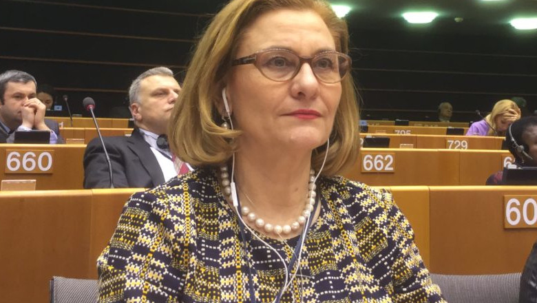 Maria Grapini, europarlamentar