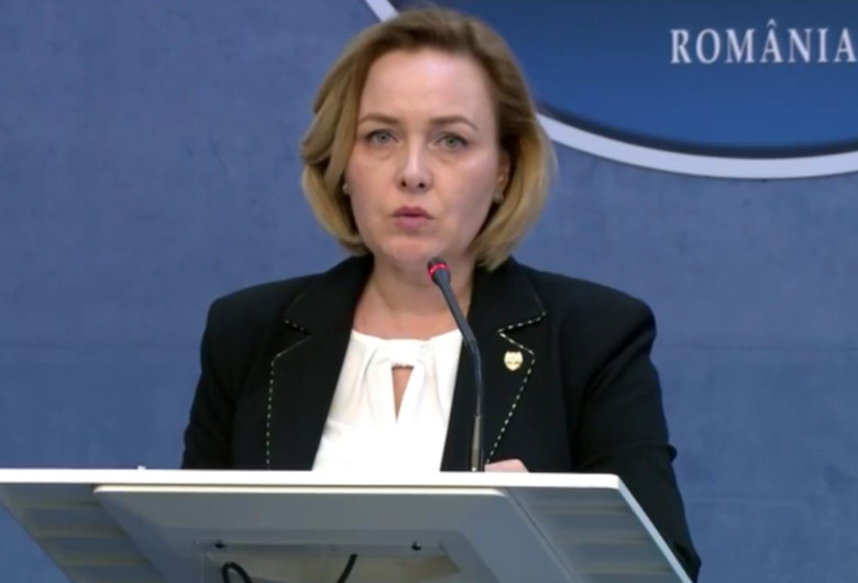 Carmen Dan, declarații de la MAI