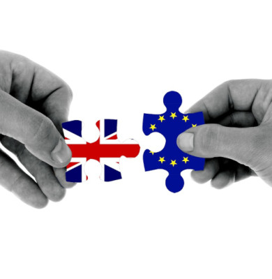 Brexit cu puzzle