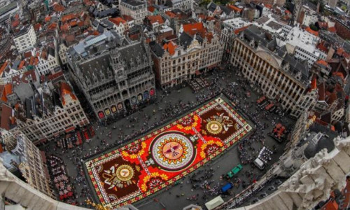 Covor de flori în Bruxelles