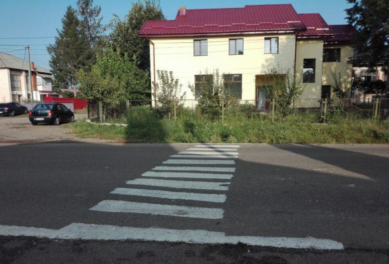 Zebră improvizată în Botoșani