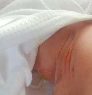 bebe